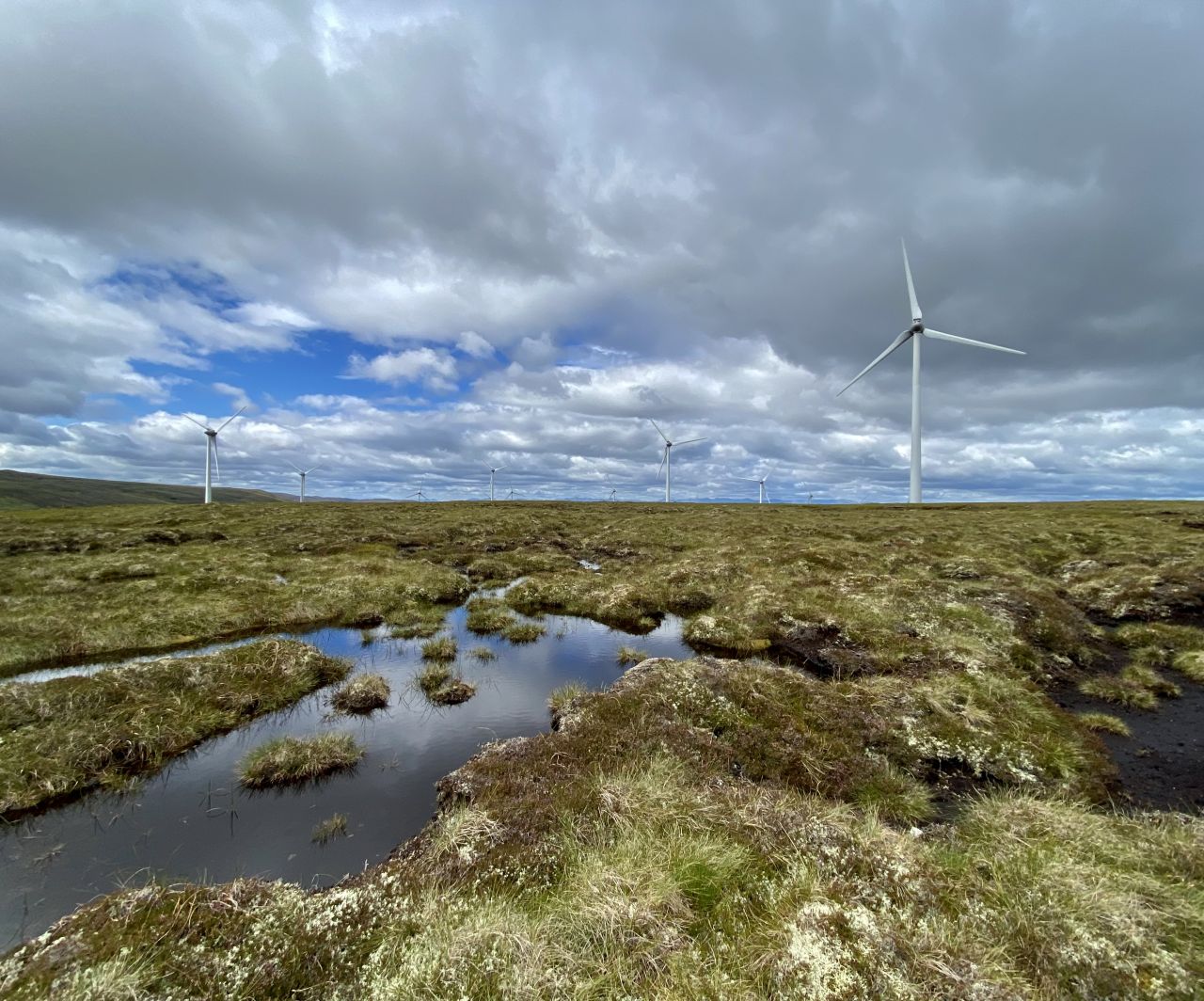 Peatland UKW Case study 8 - peatland 2.jpg